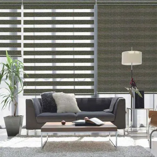 Living Room Day and Night Blinds