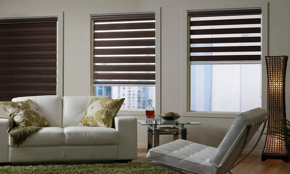 Living Room Day and Night Blinds