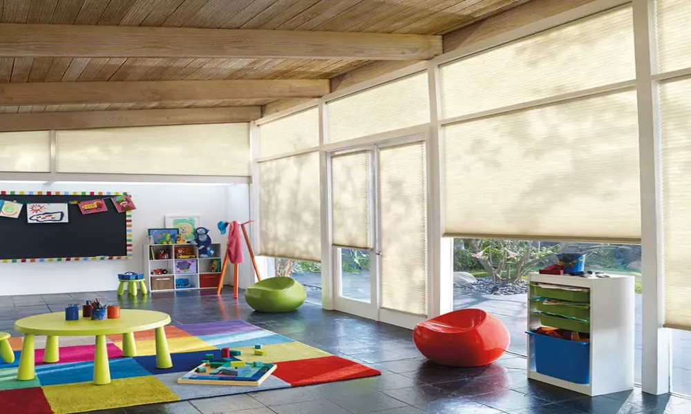 Classroom Day and Night Blinds