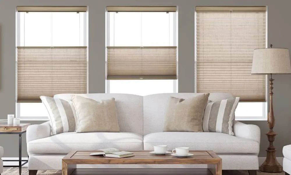 Living Room Pleated Blinds